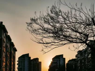 MegaReel Kasino Mobiilisovellus